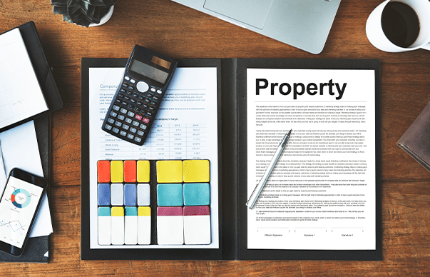 Detailed Project Report